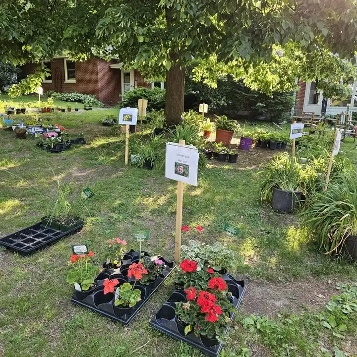 Plants arranged in a Schmitt Park yard for the neighborhood plant sale